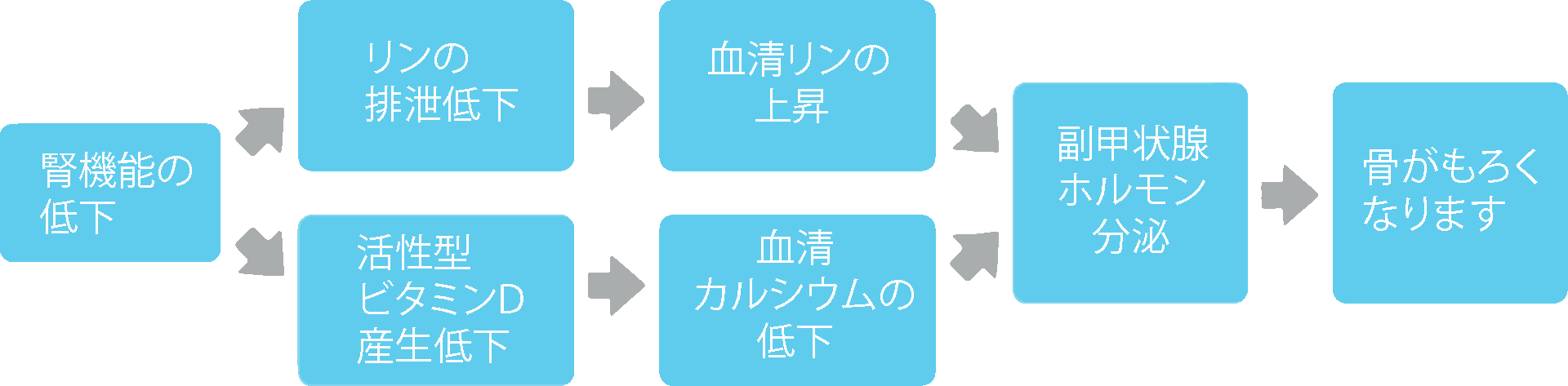 二次性副甲状腺機能亢進症とは？