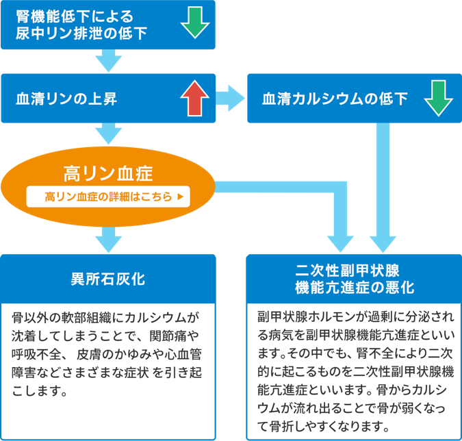 骨・ミネラル代謝異常とは