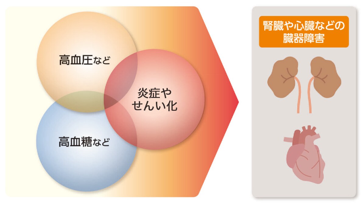 2型糖尿病を合併する慢性腎臓病の進行要因